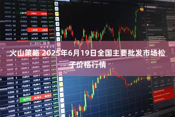 火山策略 2025年6月19日全国主要批发市场松子价格行情