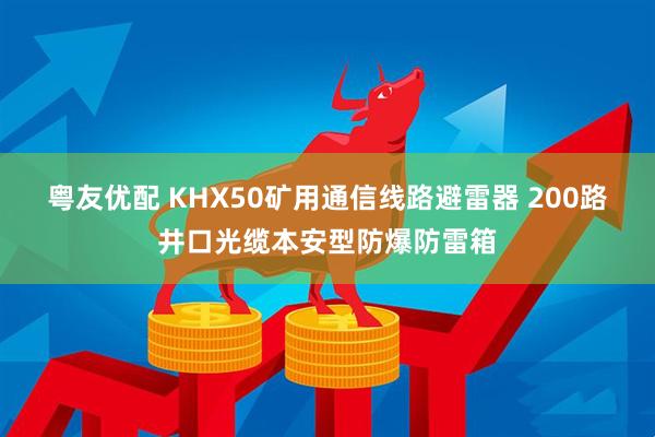 粤友优配 KHX50矿用通信线路避雷器 200路井口光缆本安型防爆防雷箱