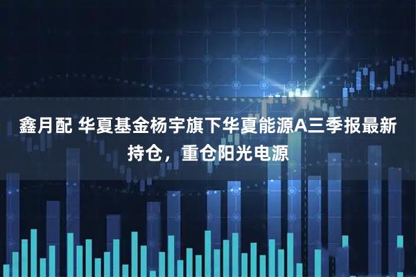 鑫月配 华夏基金杨宇旗下华夏能源A三季报最新持仓，重仓阳光电源