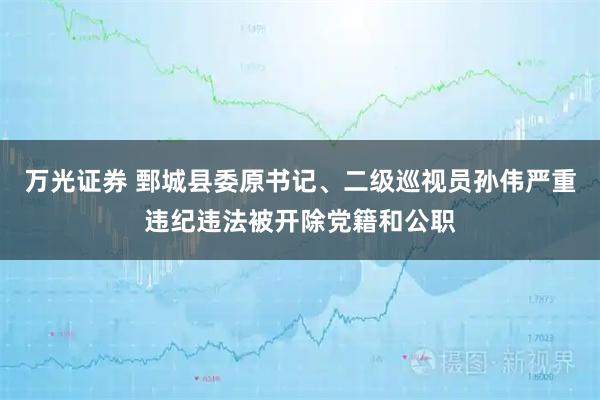 万光证券 鄄城县委原书记、二级巡视员孙伟严重违纪违法被开除党籍和公职