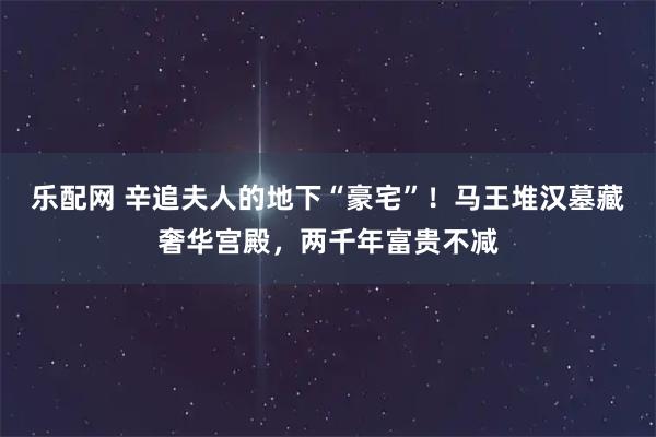 乐配网 辛追夫人的地下“豪宅”！马王堆汉墓藏奢华宫殿，两千年富贵不减