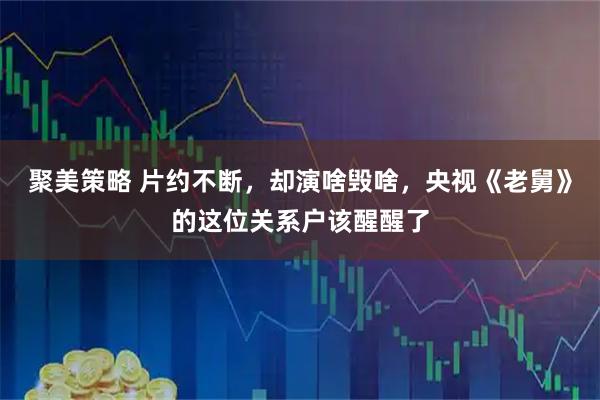 聚美策略 片约不断，却演啥毁啥，央视《老舅》的这位关系户该醒醒了